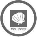 Moluscos